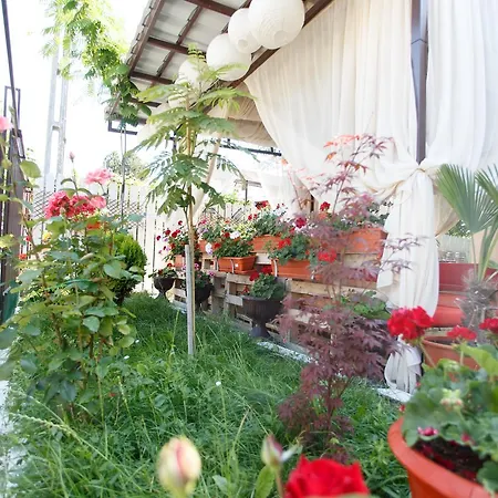 Гостевой дом De Inchiriat Sandra