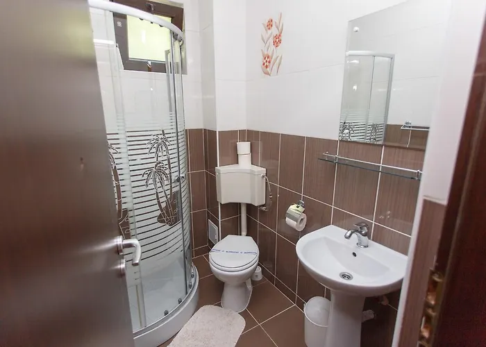 招待所 De Inchiriat Sandra 科斯蒂内什蒂