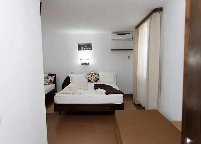 De Inchiriat Sandra 科斯蒂内什蒂