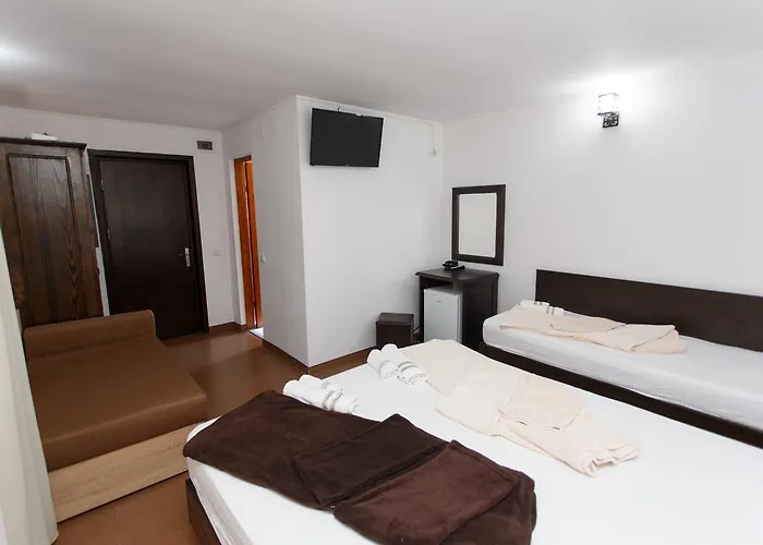 De Inchiriat Sandra 科斯蒂内什蒂