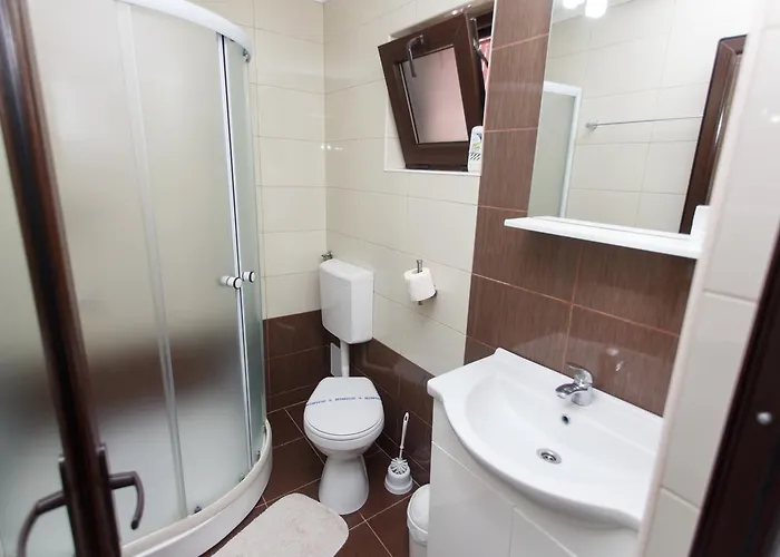 De Inchiriat Sandra 科斯蒂内什蒂