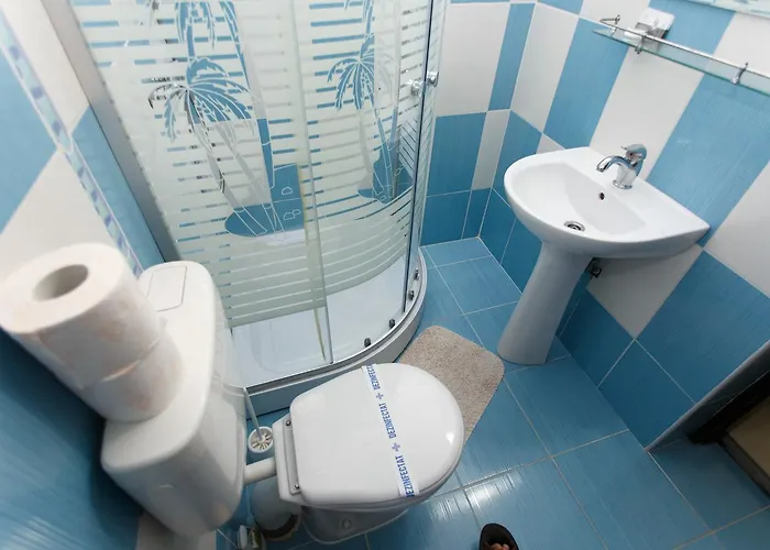 De Inchiriat Sandra 招待所 3*