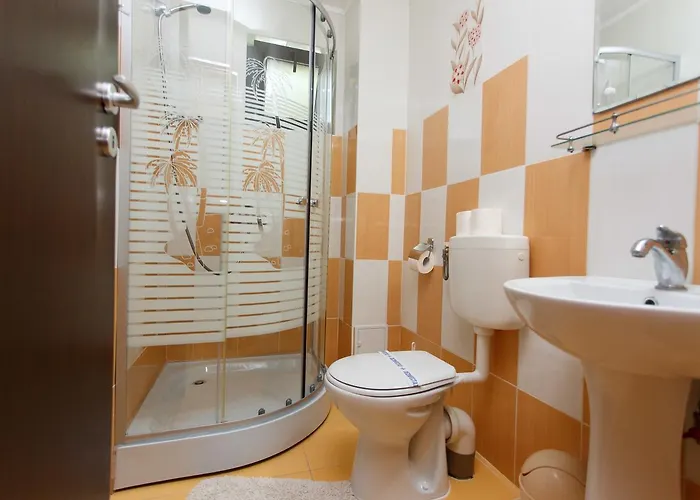 招待所 De Inchiriat Sandra 科斯蒂内什蒂