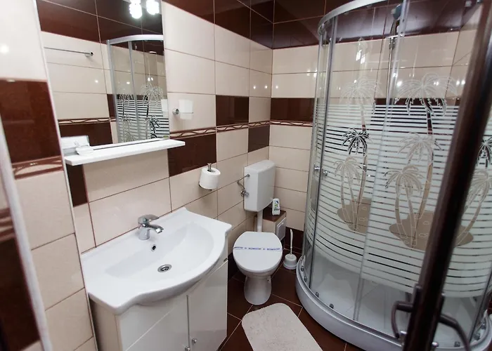 De Inchiriat Sandra 招待所 3*