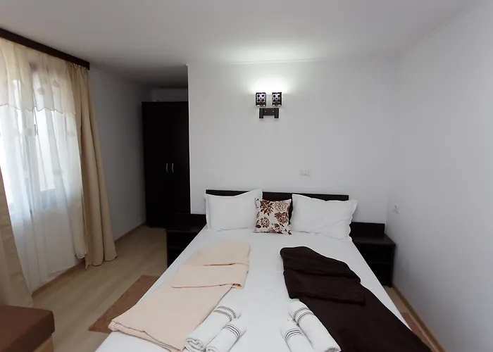 招待所 De Inchiriat Sandra 科斯蒂内什蒂