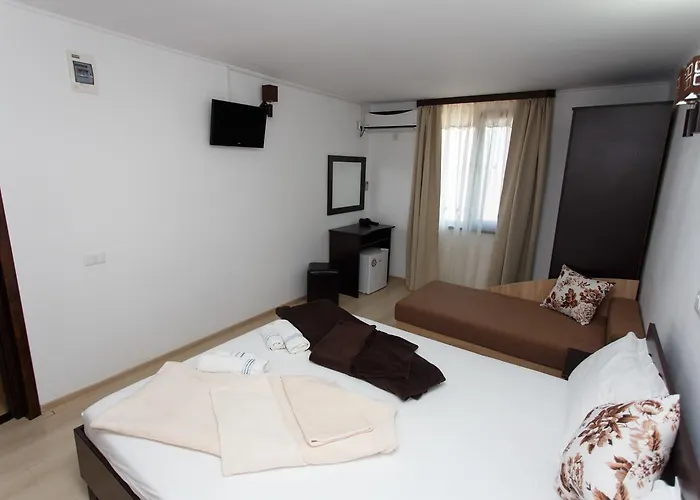 De Inchiriat Sandra 科斯蒂内什蒂