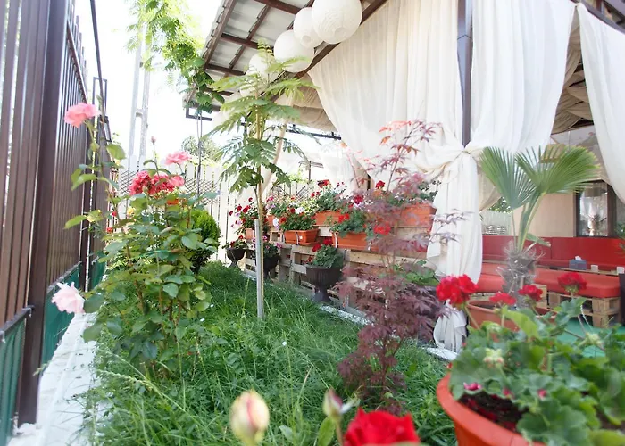 招待所 De Inchiriat Sandra