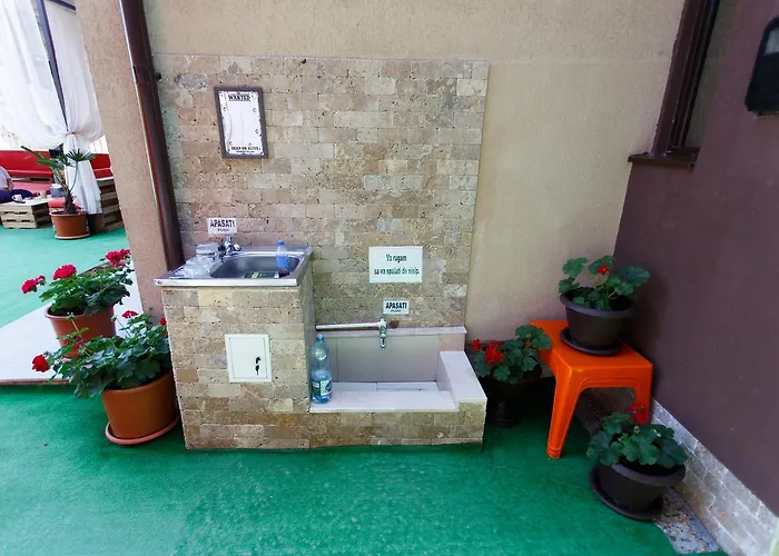 De Inchiriat Sandra 科斯蒂内什蒂