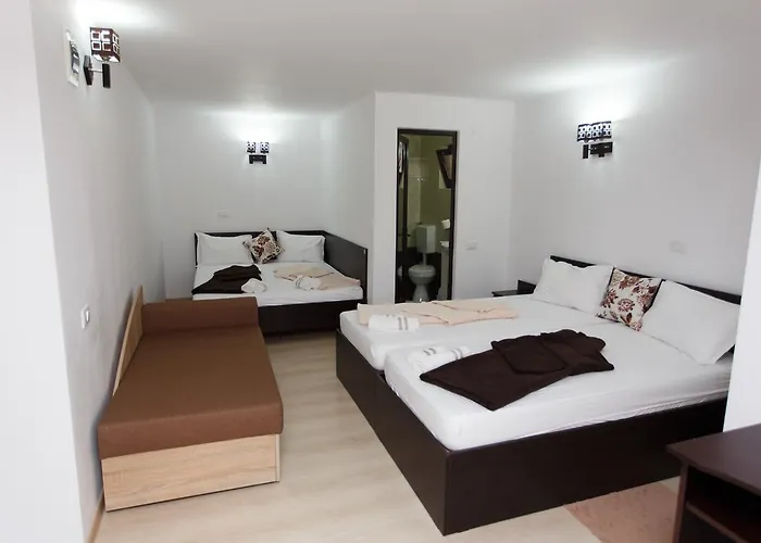 De Inchiriat Sandra 科斯蒂内什蒂