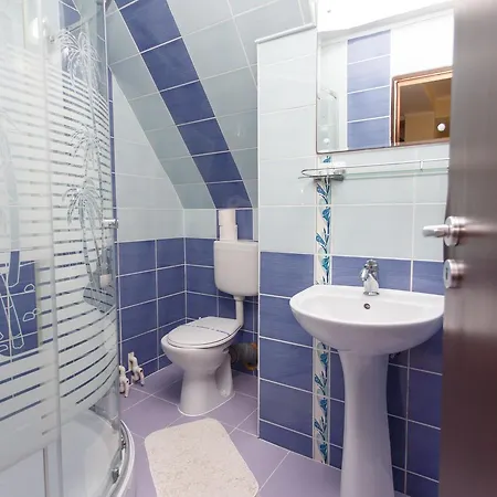 Pensiune De Inchiriat Sandra 3*